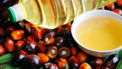 India’s prohibition on import of palm oil ruins Nepali industries