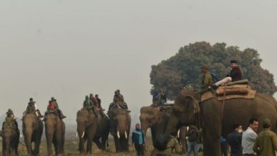 Rhino census begins from Parsa National Park