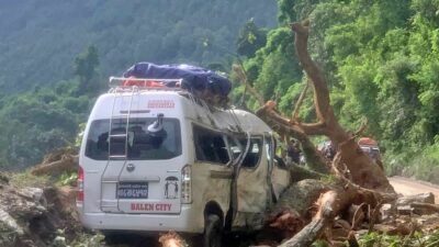 Nine passengers injured after falling tree hits moving micro bus