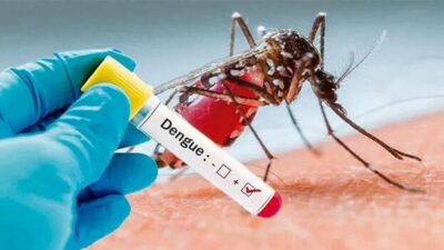 Dengue infection decreasing