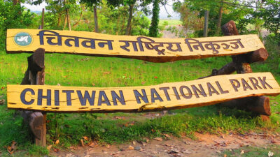 ‘Spy camera’ installed around CNP for poaching control