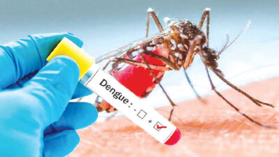 20 dengue cases recorded in Chitwan in 15 days