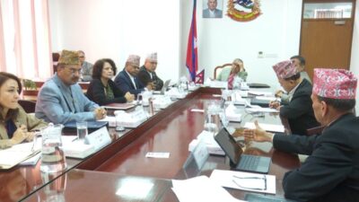 Govt declares three-day public holiday of election