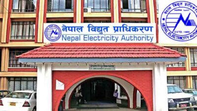 Shrestha appointed as Acting Executive Director of NEA