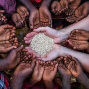 Next El Niño could test Nepal’s food security