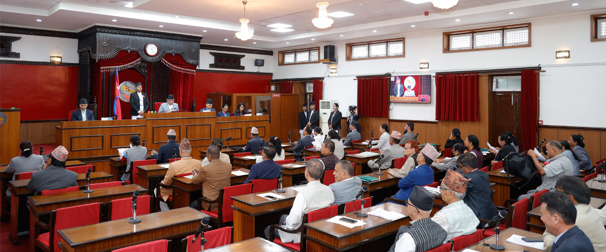 Lawmakers urge government to seek BRICS membership